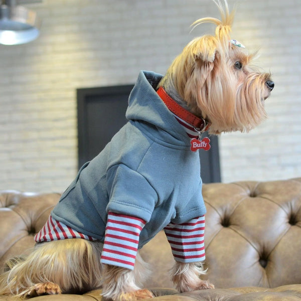 Why do you need a dog hoodie?