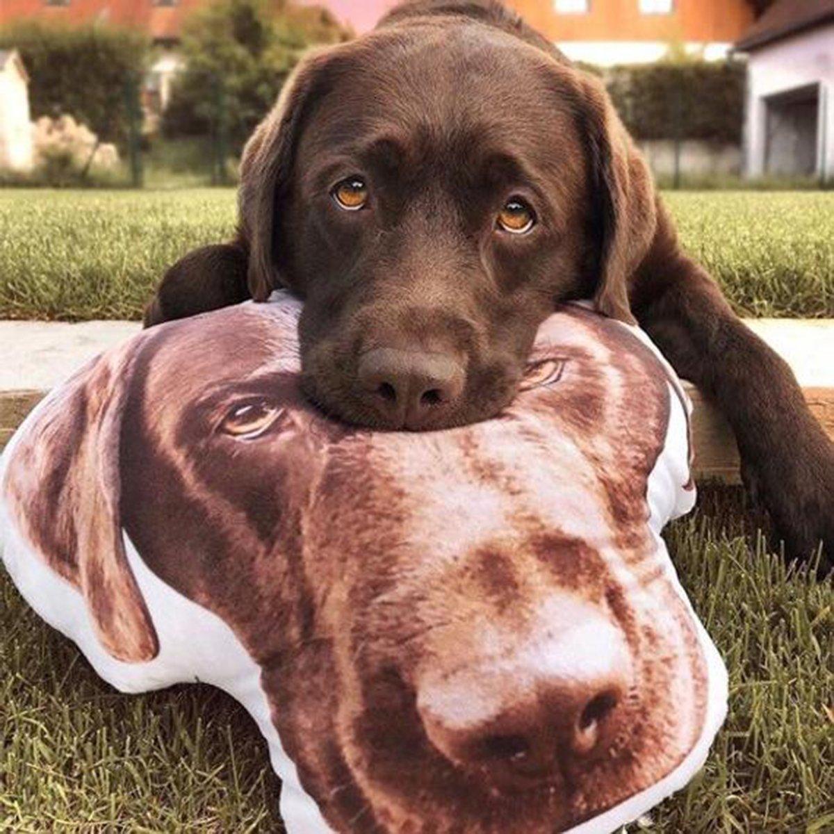 Make your dog into a pillow best sale