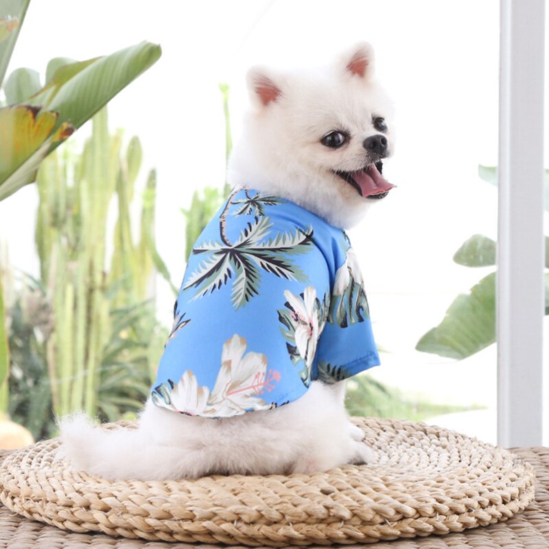 Dog shirts australia best sale