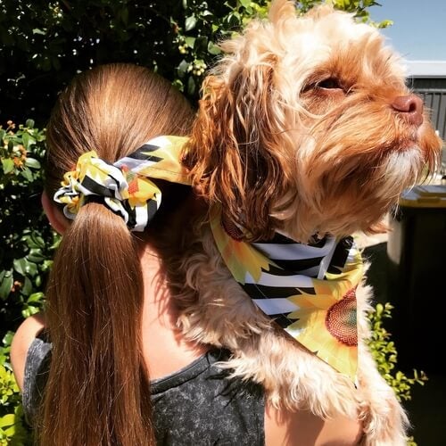 Matching dog store bandana and scarf