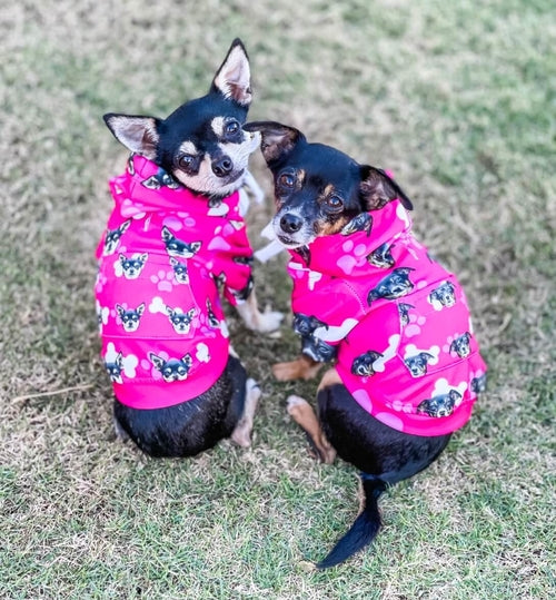 clothes with your dogs face